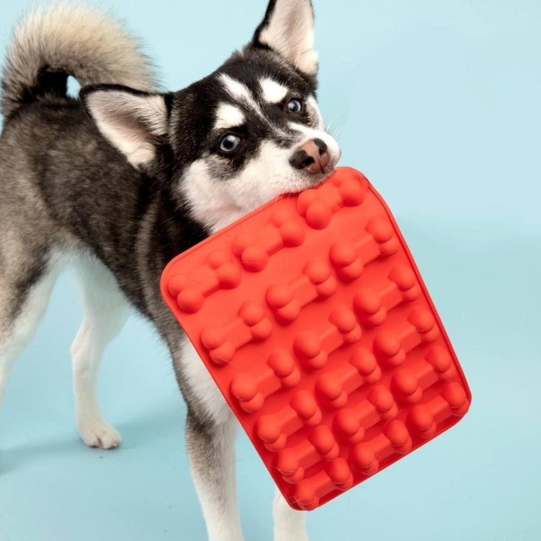 KIT DE MOLDES GOLOSINAS PARA PERROS